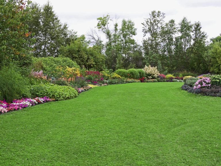 Bunter Garten mit blühenden Blumenbeeten und gepflegtem, grünem Rasen.