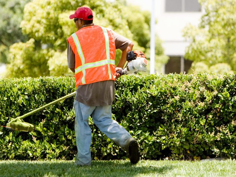 Mann mit Freischneider schneidet in einem gepflegten Garten.