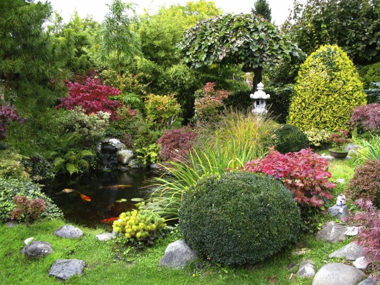 Bunter Garten mit Teich, Wasserfall und verschiedenen Pflanzen und Sträuchern.