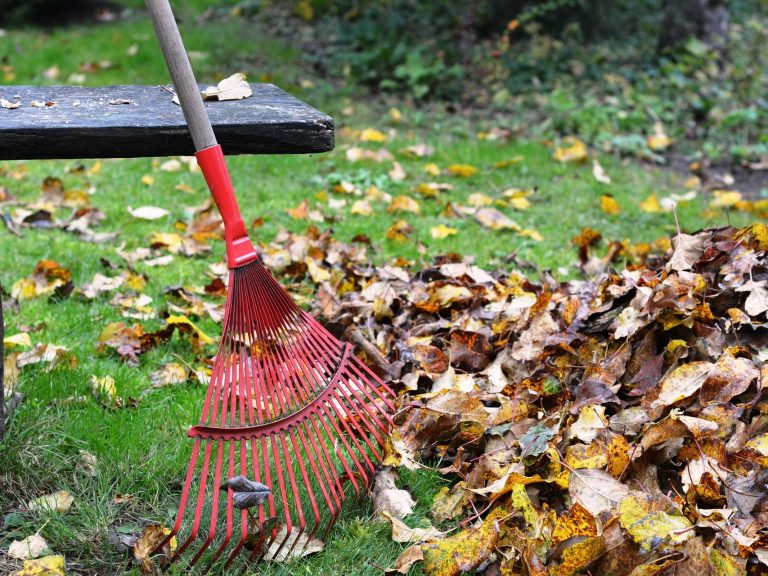 Ein Rechen steht neben einem Haufen Laub auf einer Wiese im Herbst.