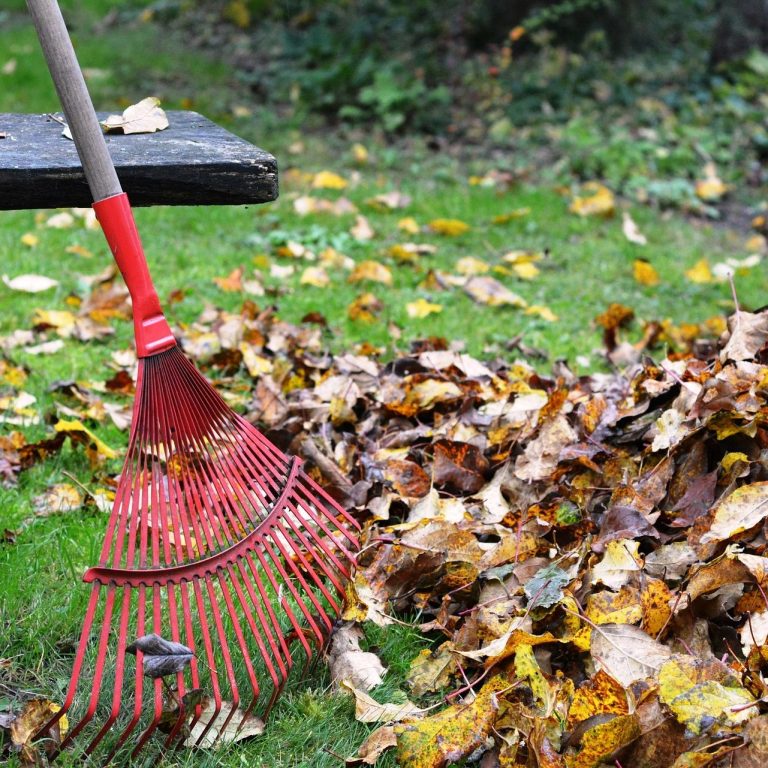 Garten Herbstpflege & Laubbeseitigung
