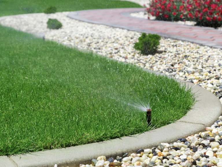 Bunter Garten mit blühenden Blumenbeeten und gepflegtem, grünem Rasen.