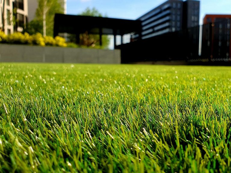 Grüner Rasen mit modernen Gebäuden im Hintergrund und klarem Himmel.