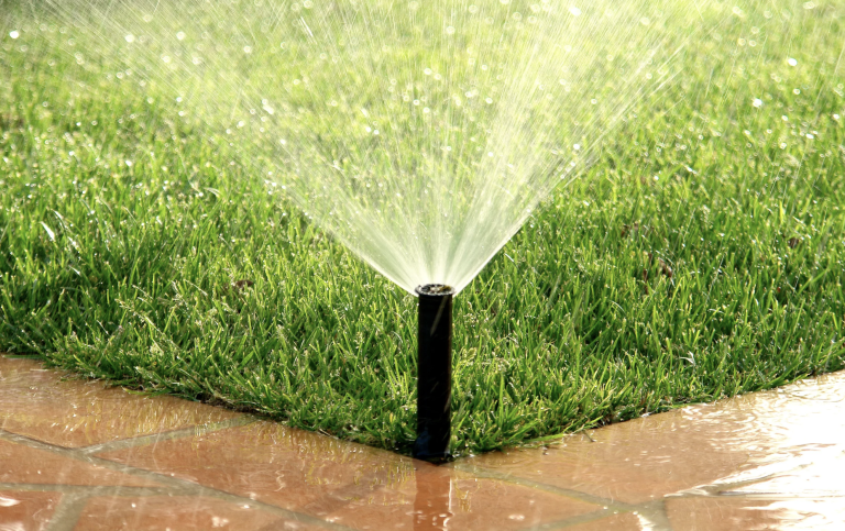 Bunte Blumenbeete mit verschiedenen Pflanzen und grüner Rasenfläche.