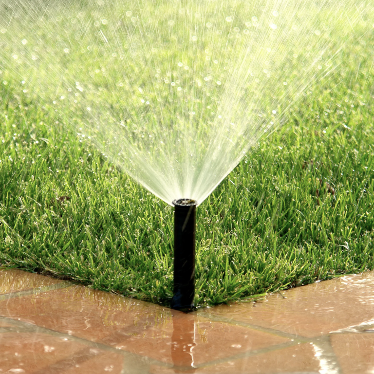 Gartengestaltung & Gartendesign