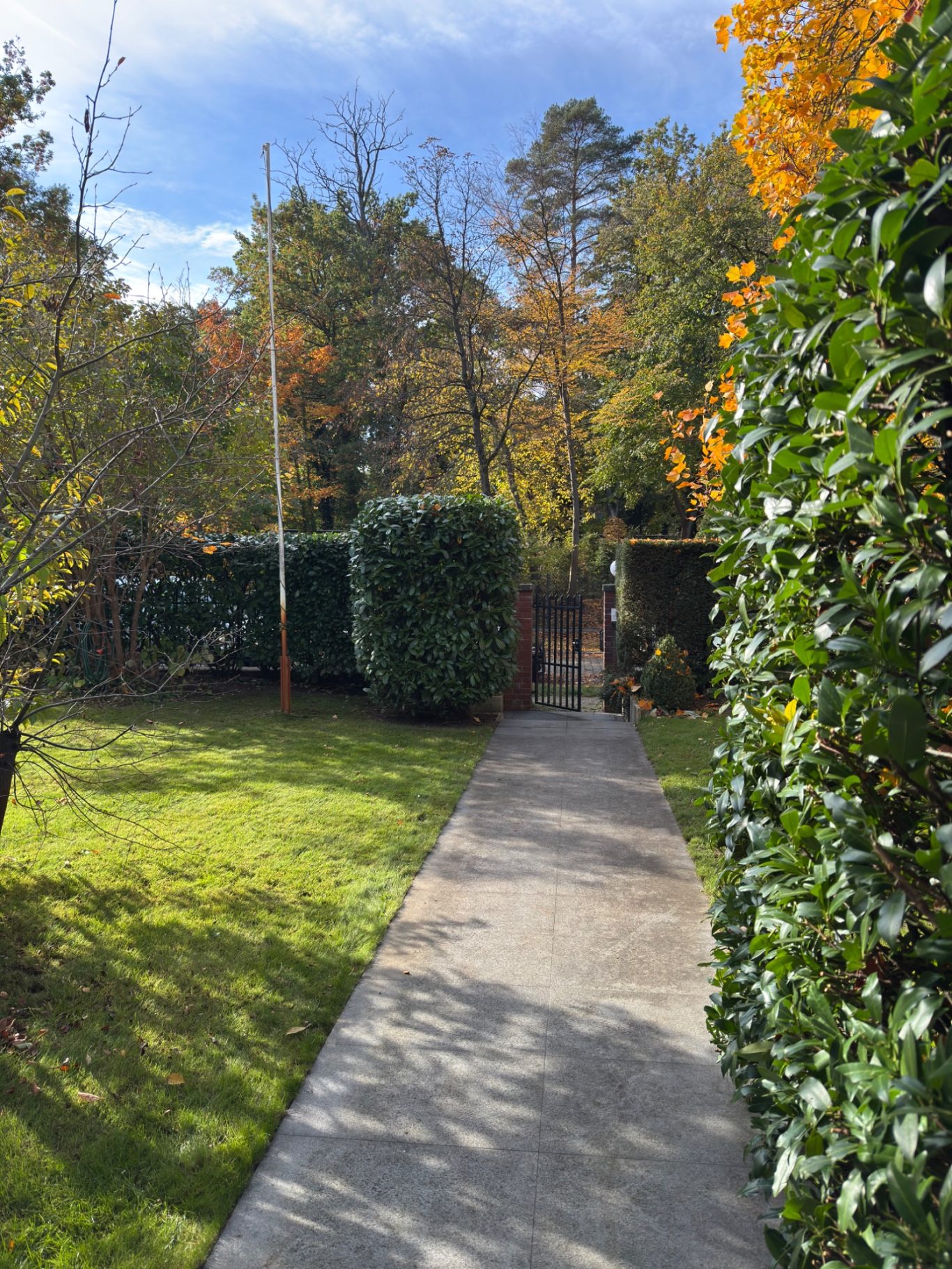 Nachher: Sauber geschnittene Hecke mit freiem Gehweg Nachher: Sauber geschnittene Hecke mit freiem Gehweg