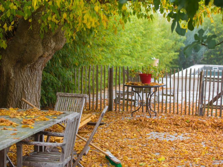 Herbstliche Gartenlandschaft mit Laub, Holztisch und Stühlen unter einem Baum.