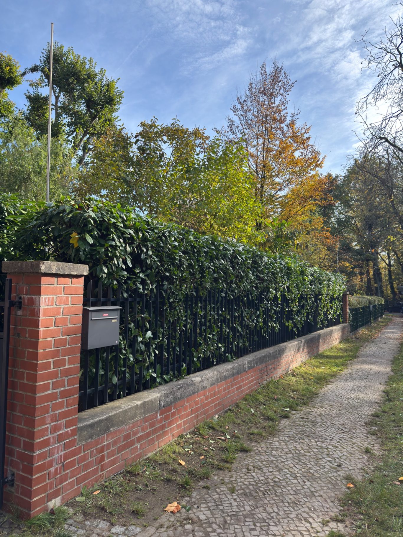 Nachher: Freigeschnittener Briefkasten und sauber geschnittene Hecke Nachher: Freigeschnittener Briefkasten und sauber geschnittene Hecke