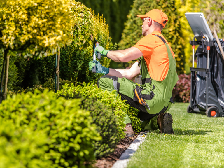 Gärtner schneidet Sträucher im grünen Garten mit Werkzeug.